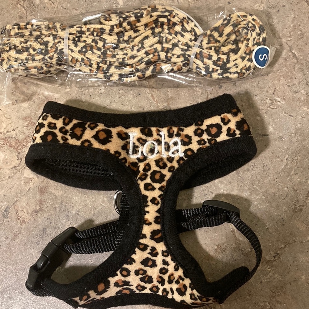 Custom Made Cheetah Print Dog Harness and matching leash